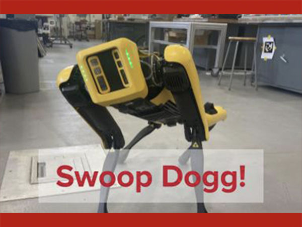swoop dogg robot dog