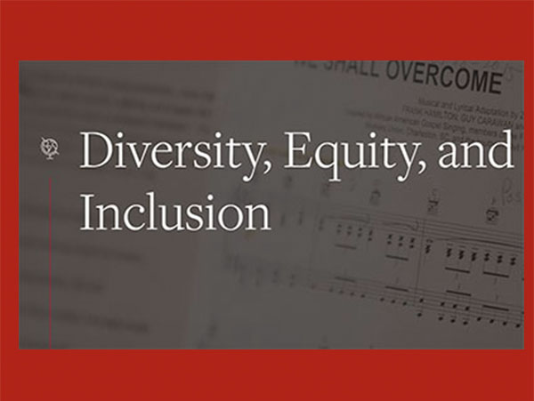 diversity equity and inclusion 