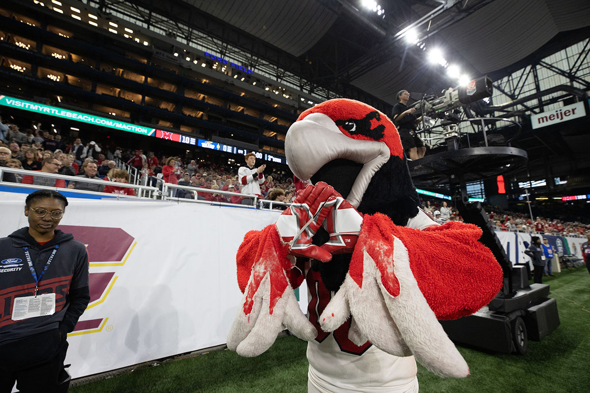 Swoop at Ford Field in Detroit