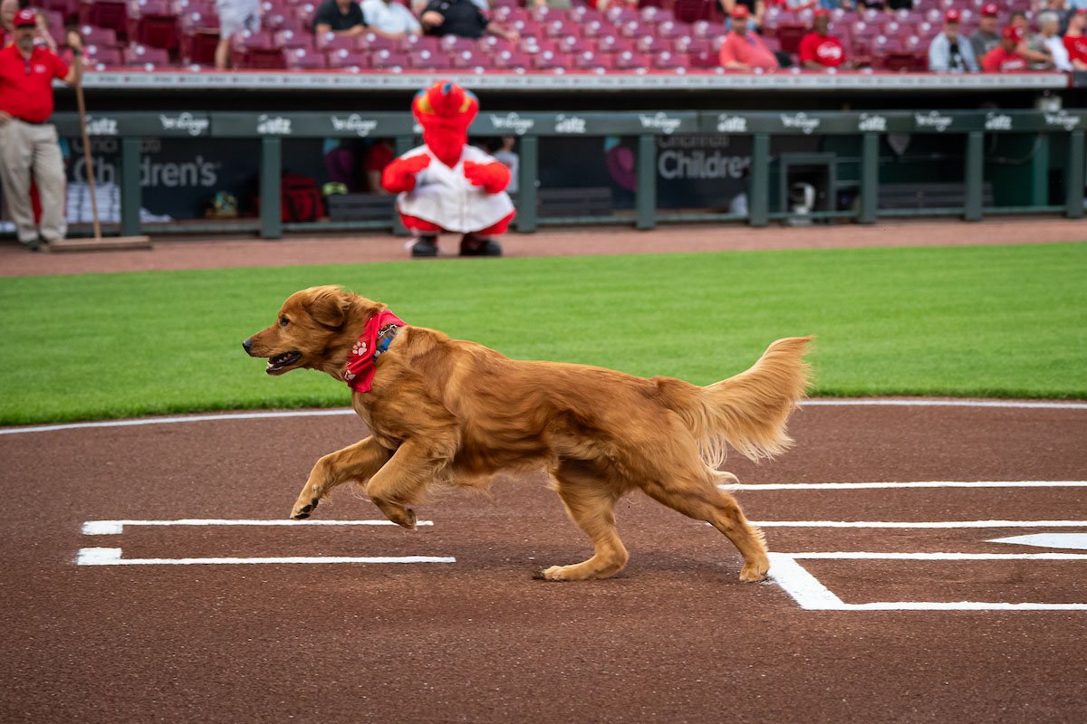 Newton races to retrieve the ceremonial first pitch.