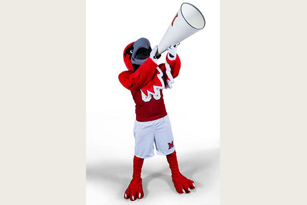 Miami University mascot Swoop