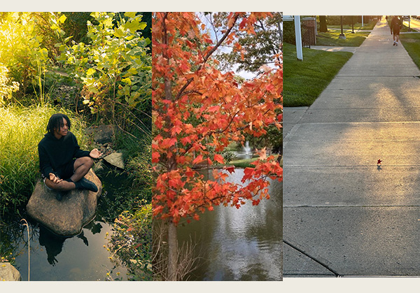 3 submissions to photo contest