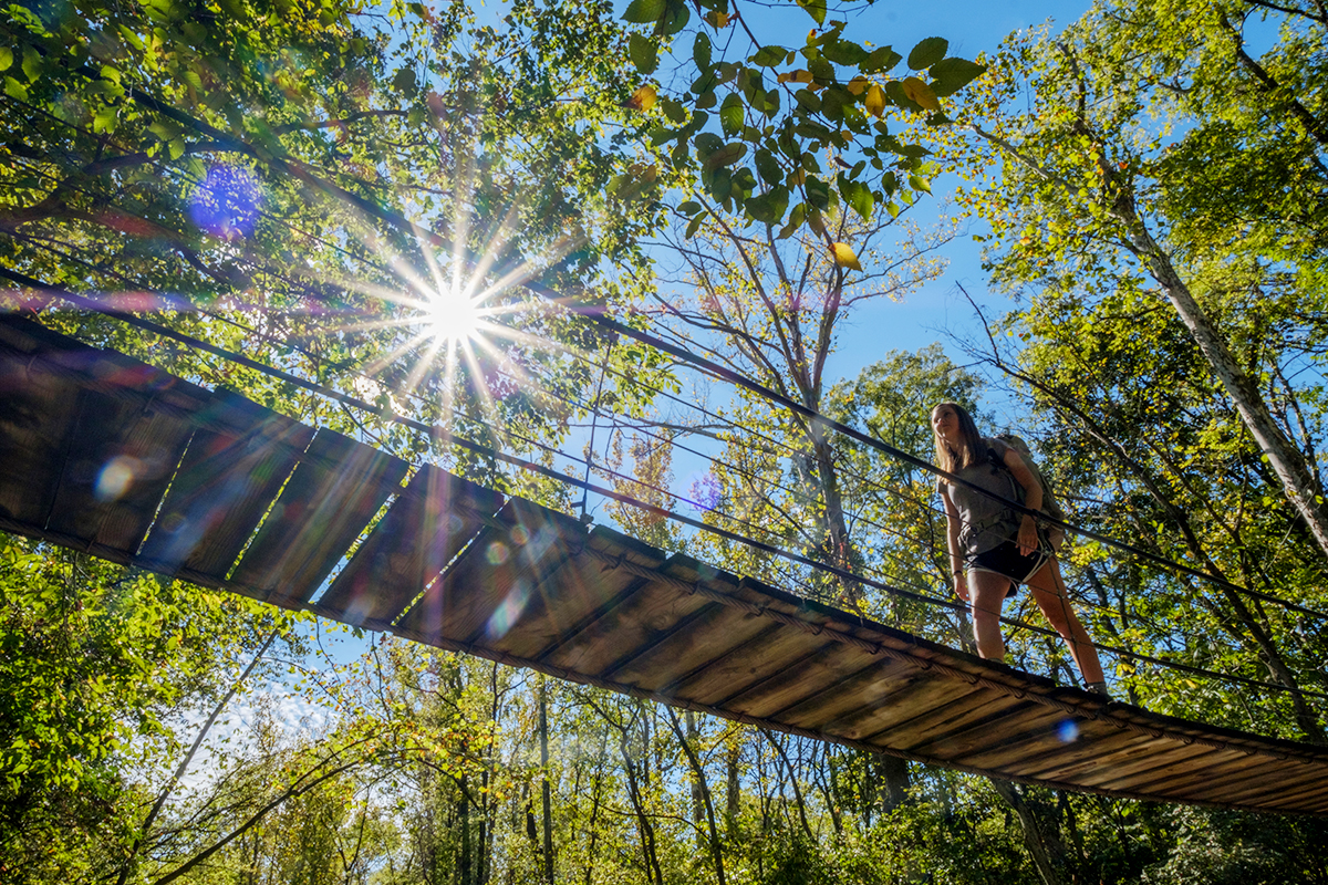 Tess walks over a swinging bridge in the woods as the sun's rays burst through the green foliage